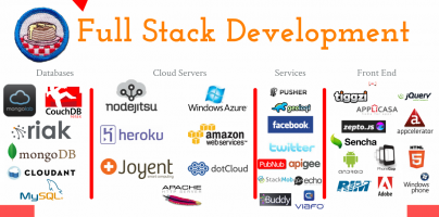 stack development end front developer web technology which better become